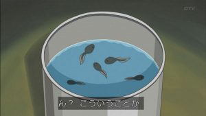 床下で飼っていたおたまじゃくし